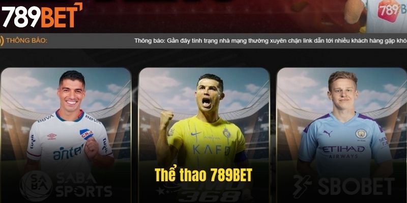 Thể thao 789BET - Top sảnh cược ăn khách dễ kiếm tiền