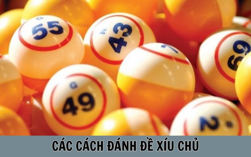 Tìm hiểu các phương pháp đánh xỉu chủ phổ biến