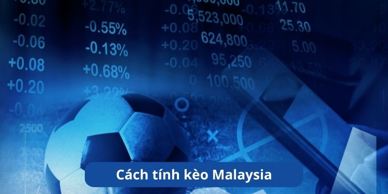 Malay Odds có cách đọc và tính tiền đơn giản