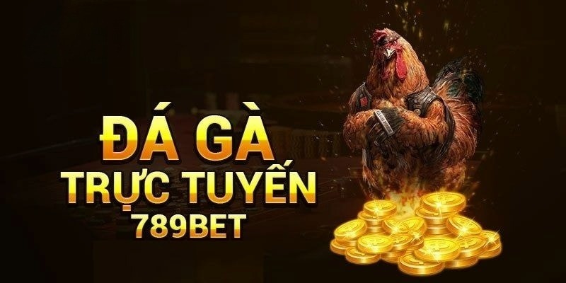 Đá Gà 789BET Nơi Hội Tụ Những Màn Tranh Tài Đặc Sắc